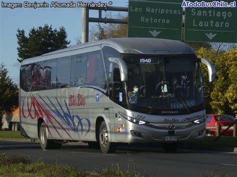 A Todo Bus Chile La Biblioteca Busóloga de Chile