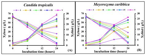 Fermentation Free Full Text Evaluation Of Fermentative Xylitol