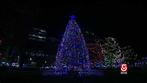 Watch The Lighting Of Bostons Official Christmas Tree