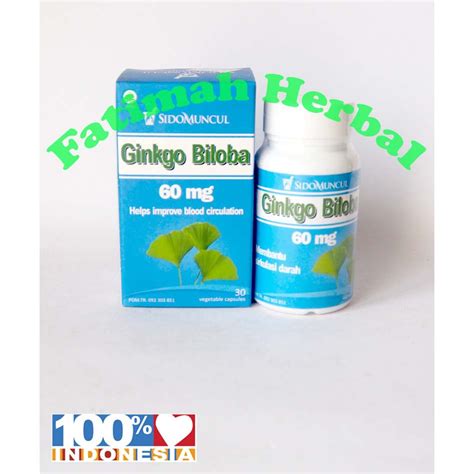 Jual Memory Daya Ingat Ginko Biloba Sidomuncul Sido Muncul