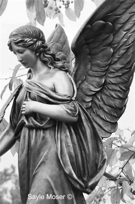 Garden Angel Black and White Fine Art Photograph, Wall Art, Room Decor, Angel Wings Wall Art ...