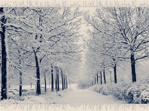 🔥 [50+] Winter Wonderland Screensavers Wallpapers | WallpaperSafari