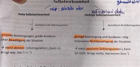 Sozial Kognitive Pers Nlichkeit Theorie Bandura Karteikarten Quizlet