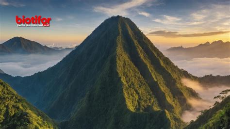 Gunung Tertinggi Di Sumatera Destinasi Pendakian Yang Menawan Biotifor