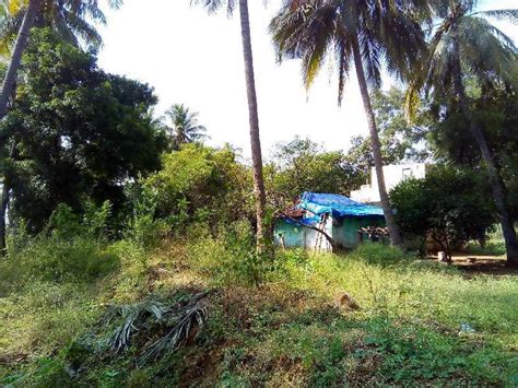 Agricultural Land Acre For Sale In Palamedu Madurai Rei