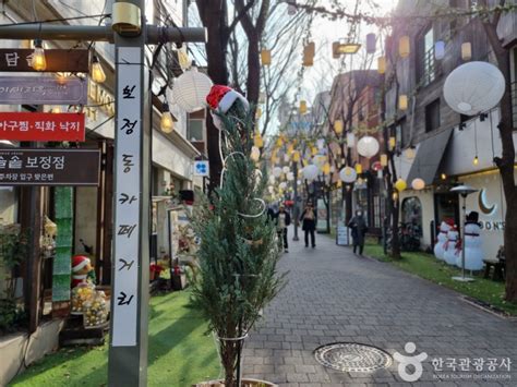 용인 애견동반 관광지 보정동카페거리