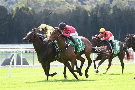 Central Coast Region's The Winner With Saturday's Gosford Races | Sky Racing World | Sky Racing ...