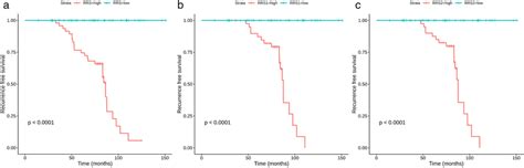 Kaplan Meier K‐m Curves Show Prognostic Efficiency Of Recurrence Risk