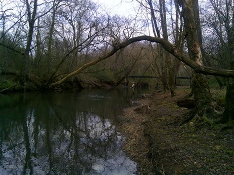 Tennessee Fly Fishing Winter Fishing On The Elk River Tn