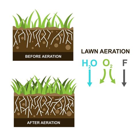 Lawn Aerator Types 101: A guide to the different styles – Care for Your ...