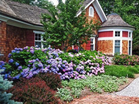 35 Hydrangea Garden Ideas Pictures Home Stratosphere
