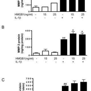 Effect of HMGB1 and IL 1β on the levels of MMP released into the medium