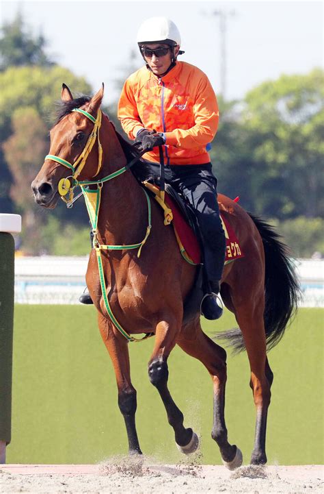 【オークス・坂本の特注馬】桜花賞6着のシンリョクカは距離延長で逆襲へ 鞍上の吉田豊騎手も手応えあり Umatoku 馬トク