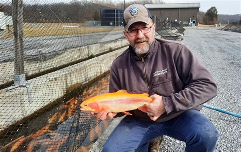 St Day Of Trout Peg Shaylynn