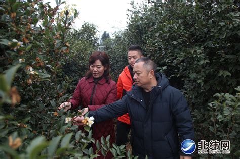 雅安党史方志网给乡村振兴和农业发展“插上”科技翅膀