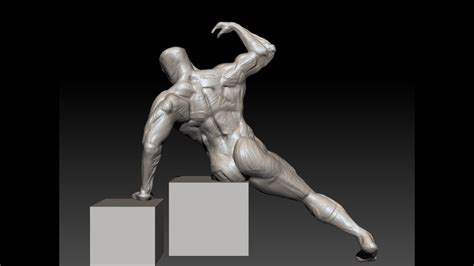 Minutes Zbrush Sculpting Muscle Youtube