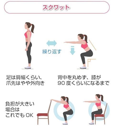 スクワットは痩せる？効果や消費カロリー、ダイエットのコツも解説 Medipalette