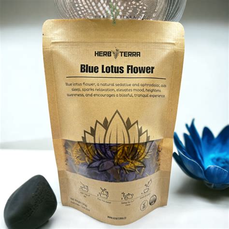 Sg Premium Egyptian Blue Lotus Flower Dreamy Herb Shopee Singapore