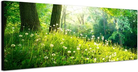 Paul Sinus Art Panoramabild Auf Leinwand Und Keilrahmen 120x40cm Wald