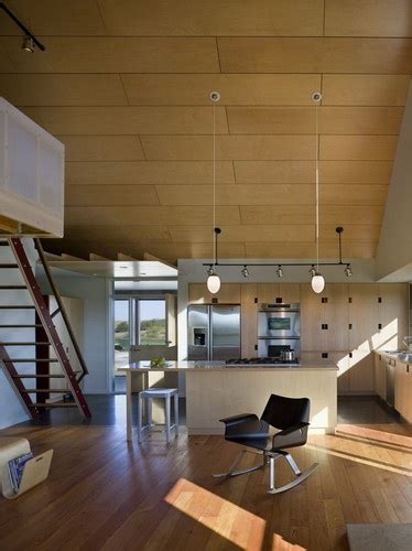 Plywood Ceiling Design Pictures Remodel Decor And Ideas Interior