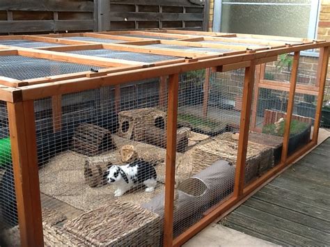 New Homes 2013 In 2023 Pet Bunny Rabbits Outdoor Rabbit Run Rabbit