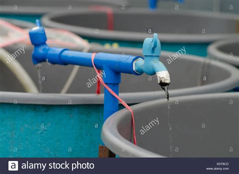 Aquaculture System High Resolution Stock Photography And Images Alamy