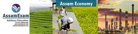 Development Of Assams Tea Industry Apsc Assam Economy Notes Assamexam