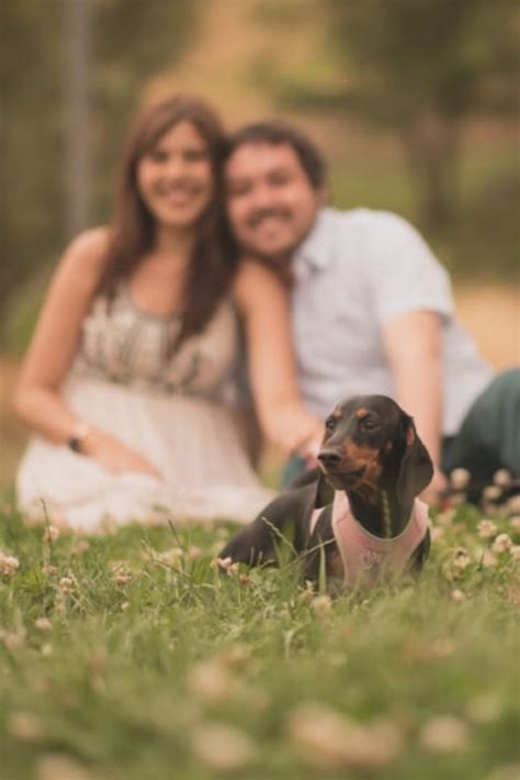 A Man And Woman Are Sitting In The Grass With A Small Dachshund