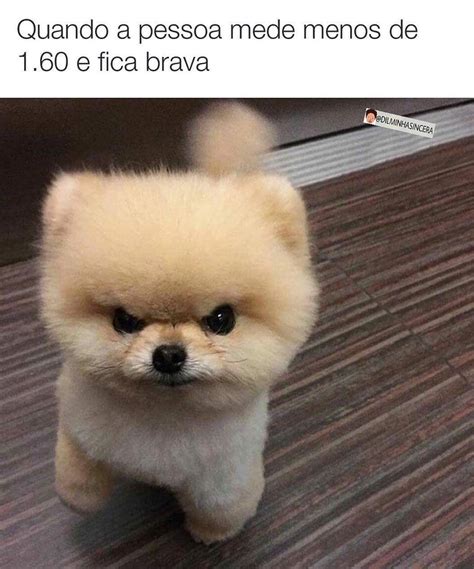 Na Prova Olho Para A Prova Tentando Achar A Solu O Olho Para O Ch O