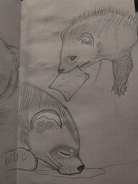This Is Gonna Be Dumb But What Are Those Hook Things On Our Ferrets