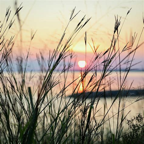 Calming Summer Sunset Photograph By Rachel Morrison Fine Art America