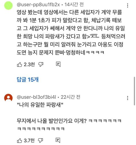 유튜브에서 6천플 찍은 달씨 해명문 전세사기 폭탄돌리기 논란 인스티즈instiz 이슈 카테고리