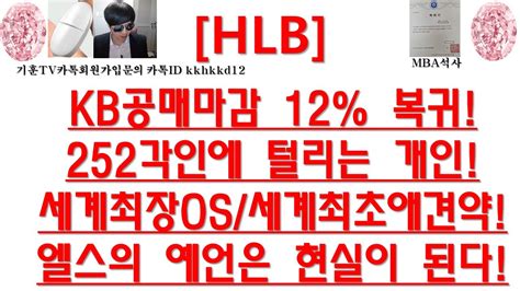 주식투자 Hlbkb공매마감 12 복귀252각인에 털리는 개인세계최장os세계최초애견약엘스의 예언은 현실이 된다