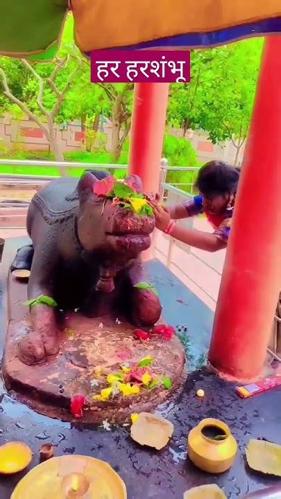 हर हर शंभूशिवा महादेवापंचायत सचिव विभा Youtube