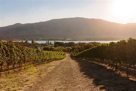 Oliver Osoyoos Wine Country Destination Guide