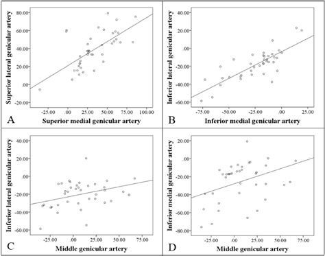 Figure 5 From Topography Of The Middle Genicular Artery Is Associated