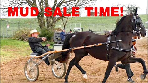 Amish Land Mud Sale 2024 Rawlinsville Volunteer Fire Company Mud Sale