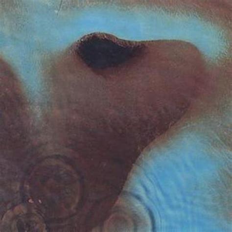 Pink Floyd Meddle CD Album US IMPORT EBay