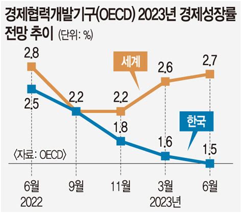 반토막 난 수익휘청이는 한국 경제 지금국내엔 네모판