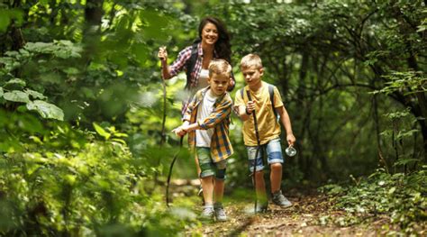 Mit Kindern im Wald Bei Ausflügen auf Folgendes achten brilon