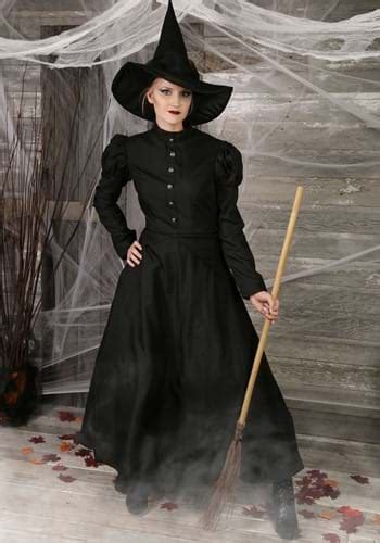 Womens Deluxe Witch Costume