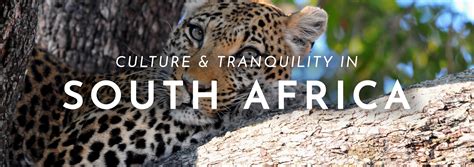 Culture & Tranquility in South Africa
