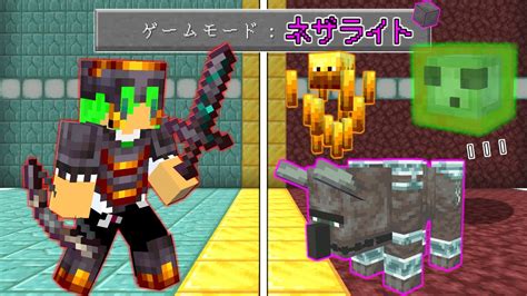 【マインクラフト】モブの能力が使えるネザライトの装備を追加したら全モブ余裕で倒せんじゃね？ Youtube