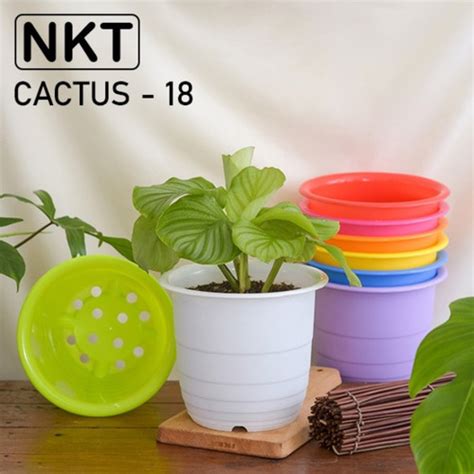 jual pot cactus  cm pot nkt pot cactus pot kaktus kota