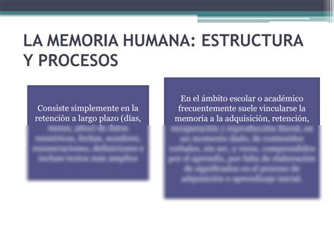 SOLUTION El Sistema De La Memoria La Memoria Operativa La Memoria