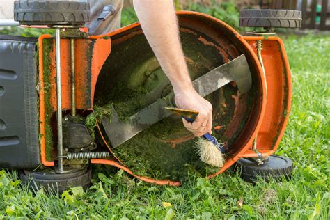 Comment Entretenir Sa Tondeuse Gazon