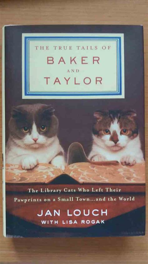 Five of the Best Books for Cat-Lovers – Interesting Literature