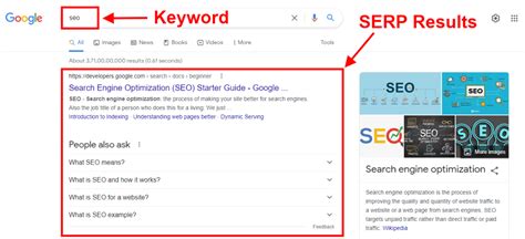 Best Serp Trackers For Accurate Keyword Rankings In Bulk