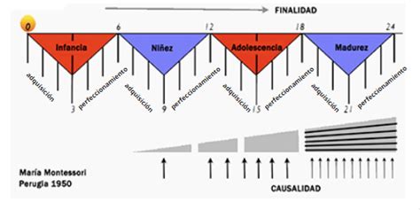 Los Planos Del Desarrollo Montessori Qu Son