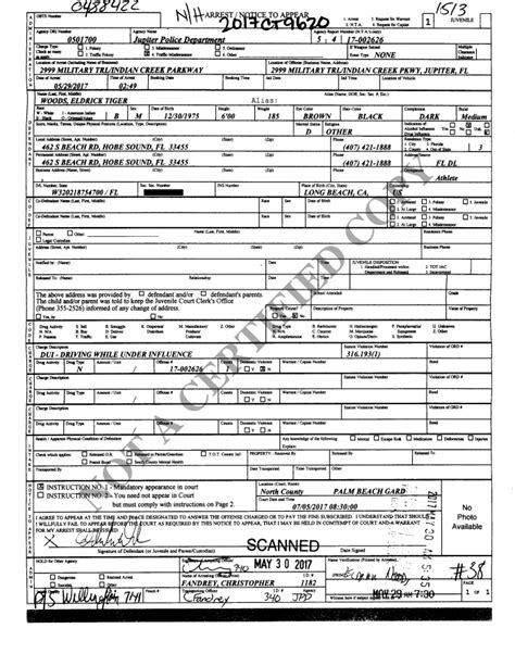 Tiger Woods Police Report Documents Los Angeles Times